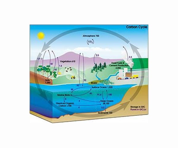 Scientists explore how to recalculate the social cost of carbon