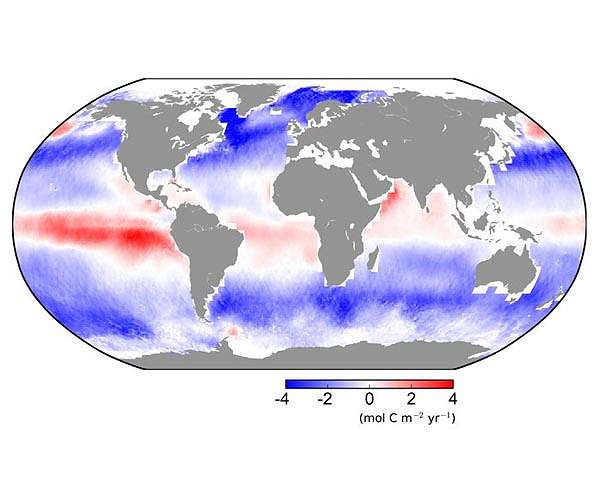 Our seas are capturing more carbon than expected