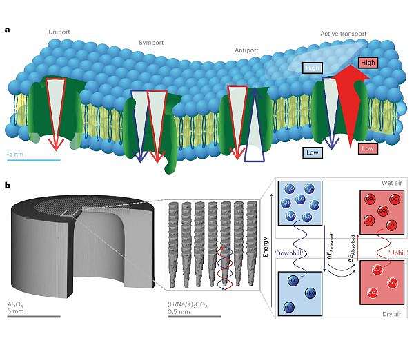 New Membrane Uses Humidity to Capture Carbon Dioxide from Air
