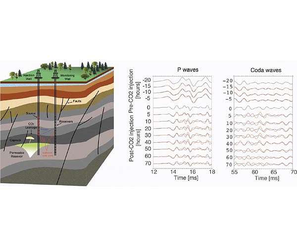 Coda waves reveal carbon dioxide storage plume