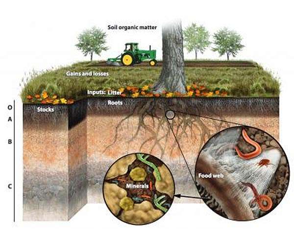 New imaging method views soil carbon at near-atomic scales