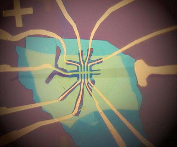 Experiments with twisted 2D materials catch electrons behaving collectively