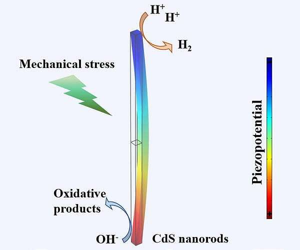 Engineering piezoelectricity and strain sensitivity in CdS