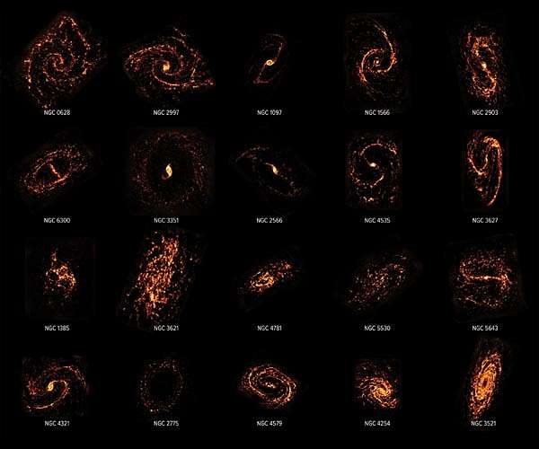 Cosmic cartographers map nearby Universe revealing the diversity of star-forming galaxies