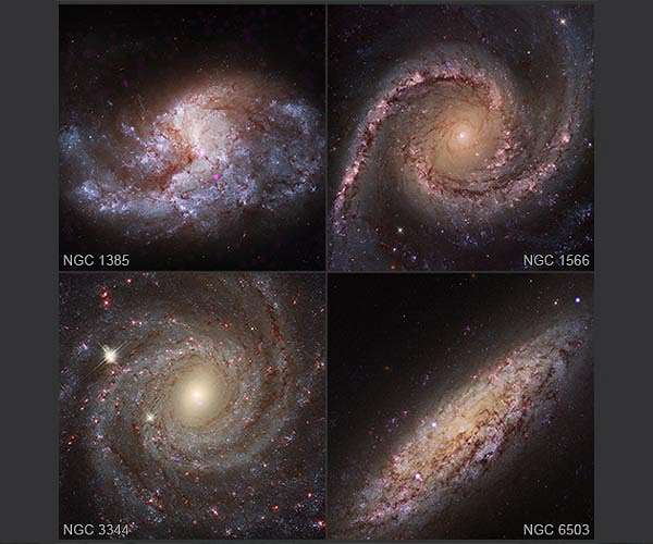Black holes raze thousands of stars to fuel growth