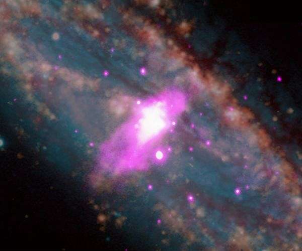 How cosmic winds transform galactic environments