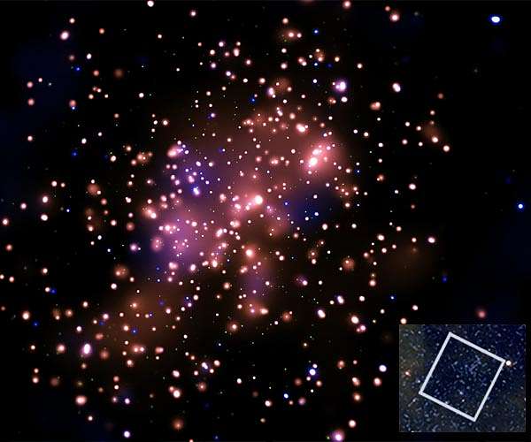 NGC 6231: Stellar Family Portrait in X-rays