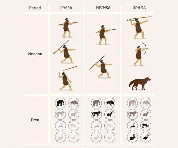 Need to hunt small prey compelled humans to make better weapons and smarten up