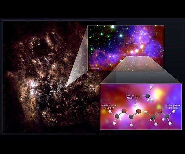 Stellar embryos in dwarf galaxy contain complex organic molecules