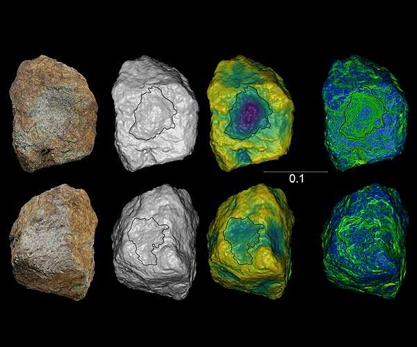 Chimpanzee stone tool diversity