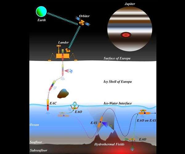 An autonomous strategy for life detection on icy worlds using Exo-AUV