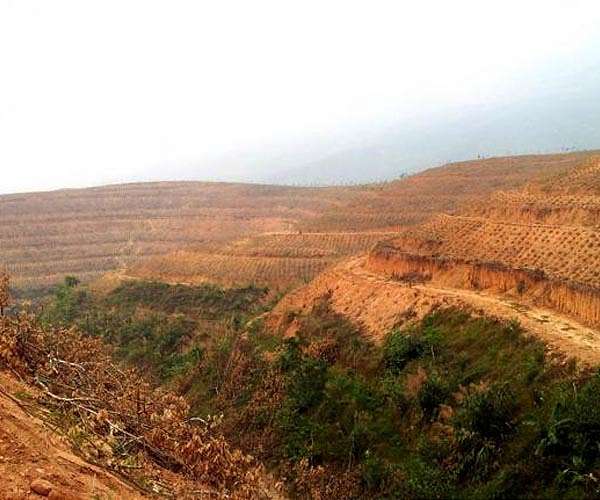 Fractured bedrock in forests is overlooked source of natural CO2