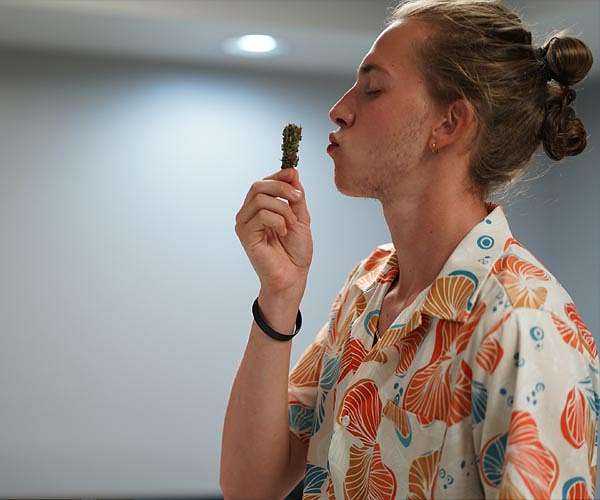 New study shows patient preference for medical cannabis products in the absence of clinical guidelines