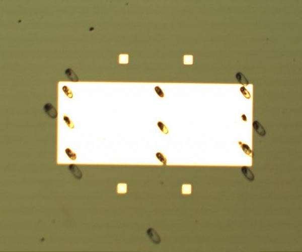Physicists observe an exotic "multiferroic" state in an atomically thin material