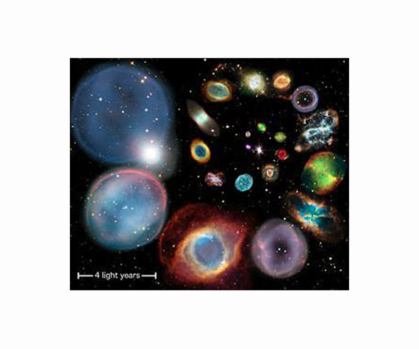 Unusual molecular and isotopic content of planetary nebulae