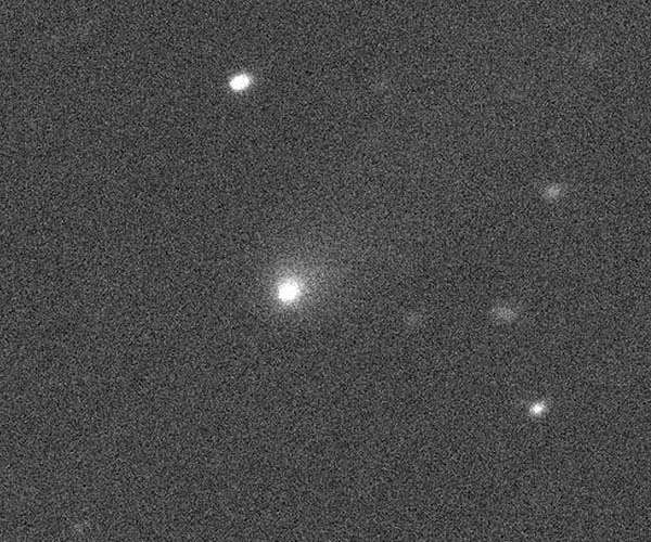 Newly spotted comet is likely an interstellar traveler