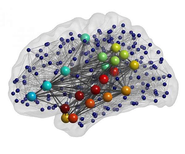 'Curb Your Enthusiasm' helps neurobiologists study brain's sense of time