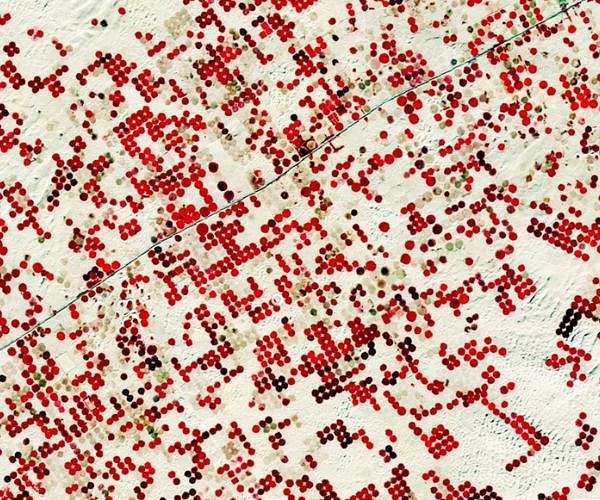 Using satellite data to enhance global food security