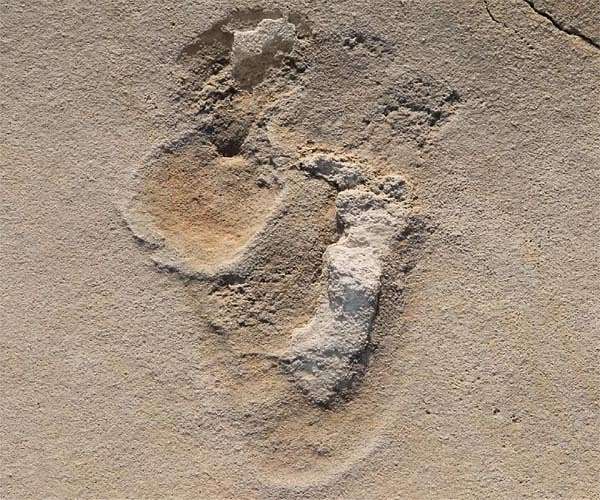Scientists find 13,000-year-old footprints in Canada