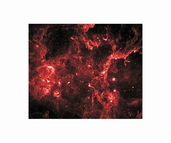 Embry-Riddle alumna helps unravel key mysteries of rare stars