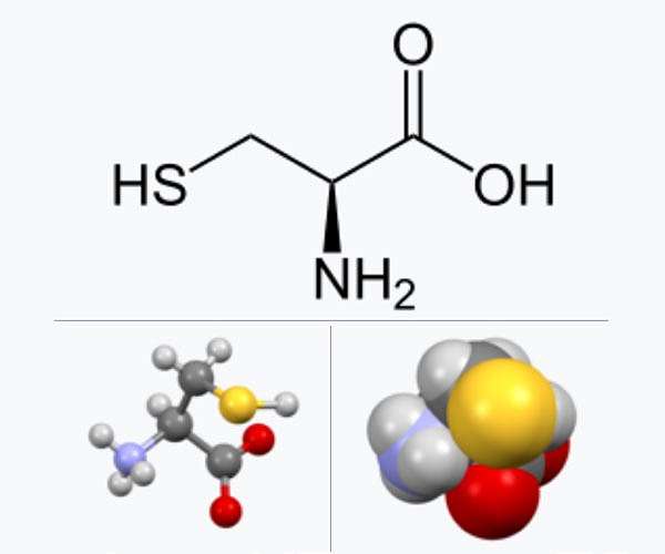 Cysteine synthesis was a key step in the origin of life