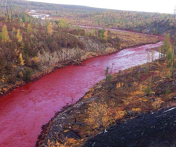 New data platform illuminates history of humans' environmental impact