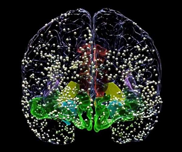 Neuroscientists build model to identify internal brain states