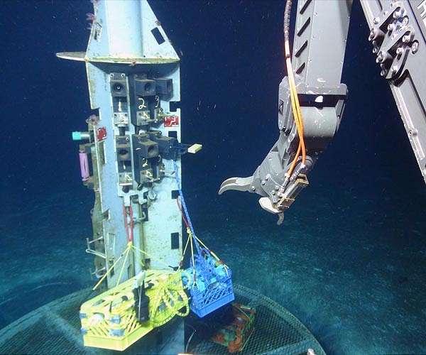 Study shows unusual microbes hold clues to early life