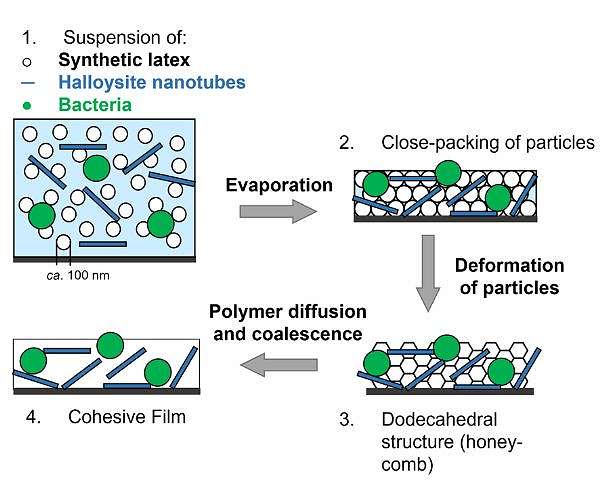 Bacteria found in desert pave the way for paint that produces oxygen whilst capturing carbon