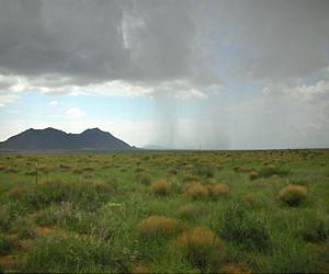 Study: Grasslands served as setting for early human evolution