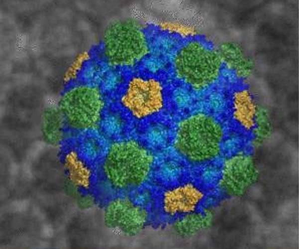 Humans are not the first to repurpose CRISPR