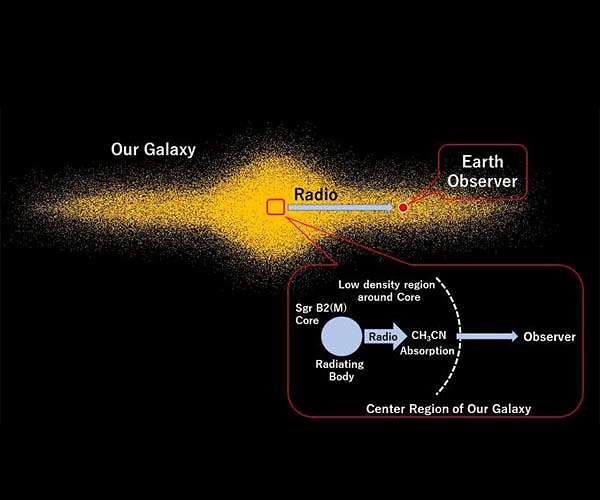 Tracing the cosmic origin of complex organic molecules with their radiofrequency footprint