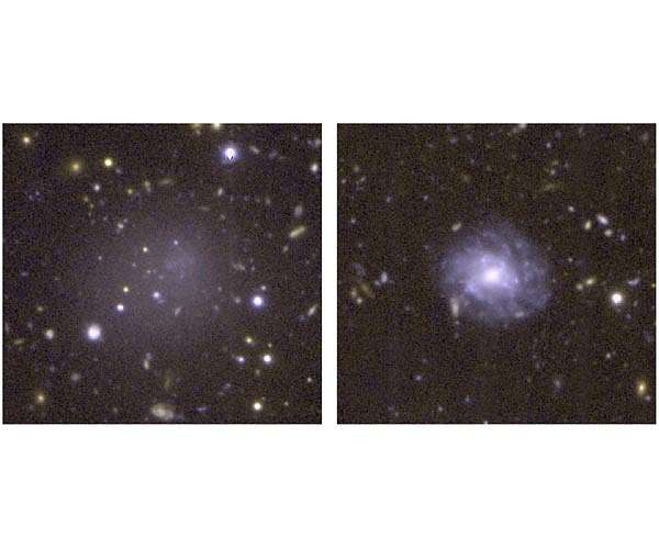 Anemic galaxy reveals deficiencies in ultra-diffuse galaxy formation theory