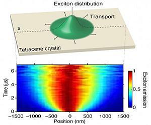 Scientists achieve first direct observations of excitons in motion