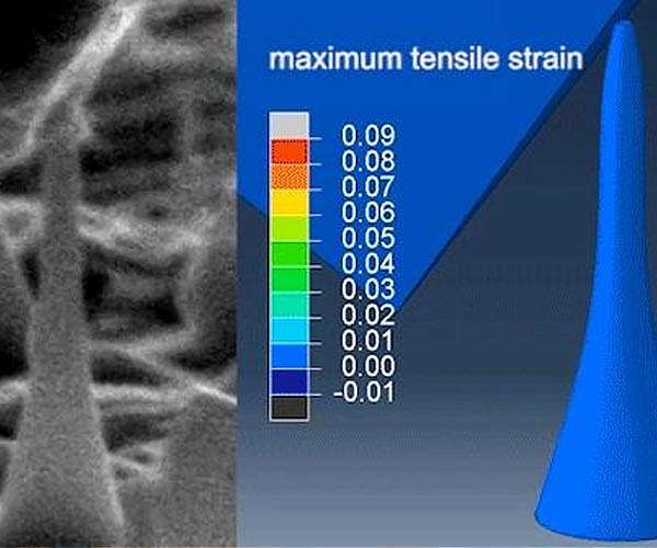 UNIST introduces novel method to grow elastic diamonds