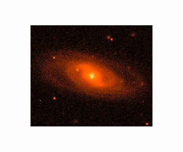 Rare Einstein cross with central image uncovers dark matter halo