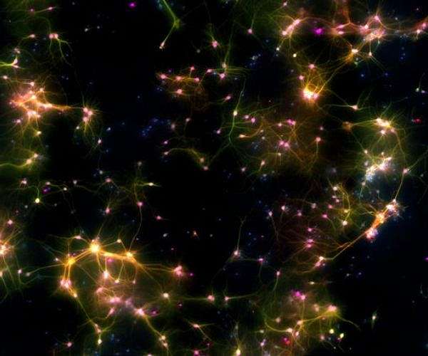 Can we 'recharge' our cells?