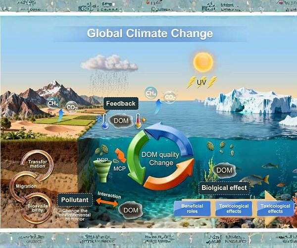 Ecosystems face new carbon challenge from dissolved organic matter shifts