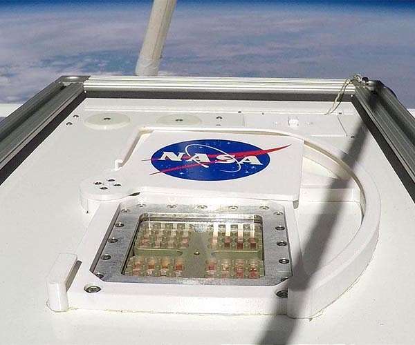 Which will survive? A microorganism zoo in the stratosphere