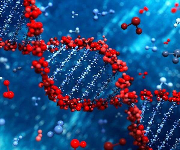 US firm to stop selling China equipment for minority DNA database