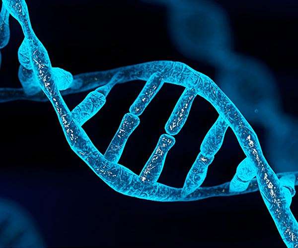 Scientists unlock mystery rooted in the deepest past of evolution