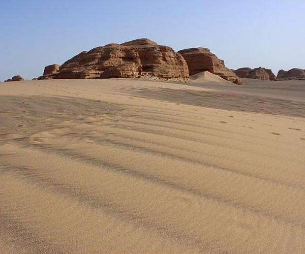 Extreme heat likely to wipe out humans and mammals in the distant future