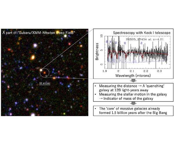The 'cores' of massive galaxies had already formed 1.5 billion years after the big bang