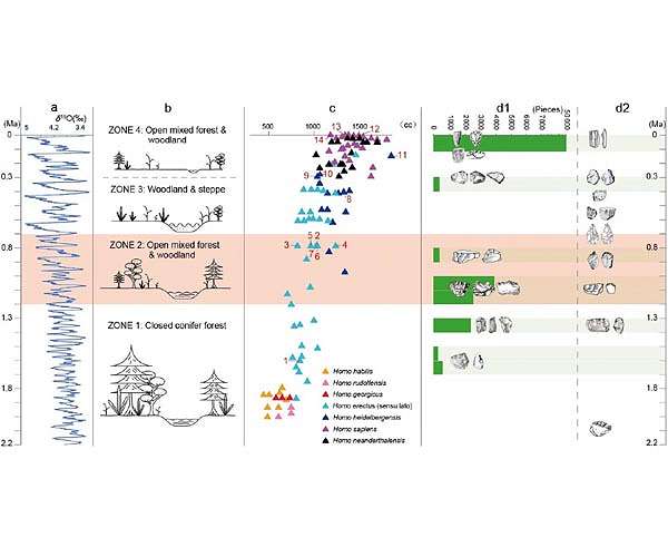 Early hominins in China adapted to changing climate with new technology