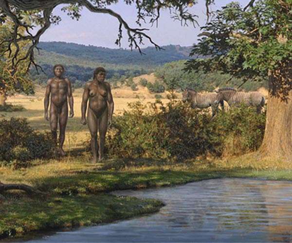 Ligament clues refine picture of how early hominins moved