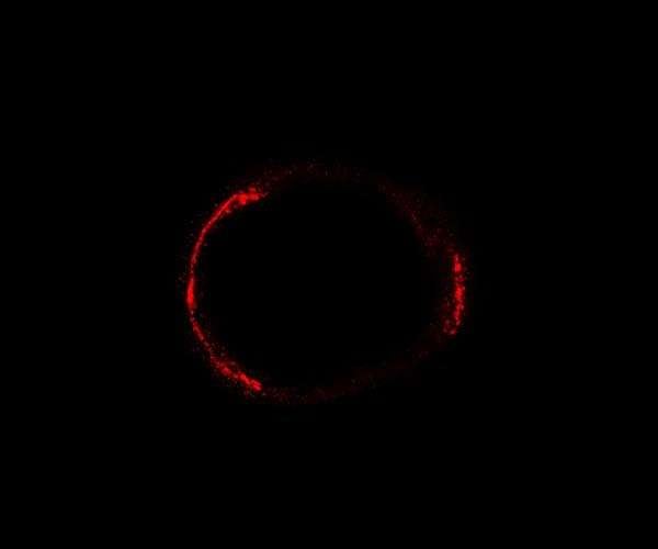 How gravity gives astronomers a powerful lens on the universe