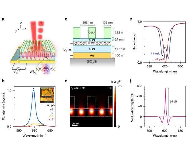 Quantum light switch built from atomically thin mirror