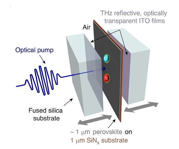 Controlling the electro-optic response of a perovskite coupled to a phonon-resonant cavity