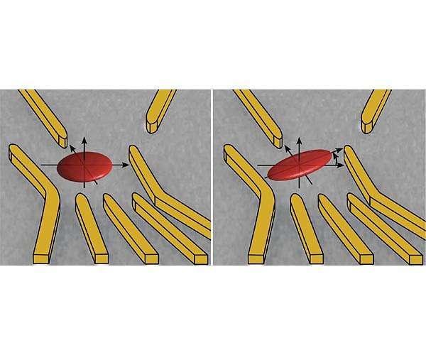 The geometry of an electron determined for the first time