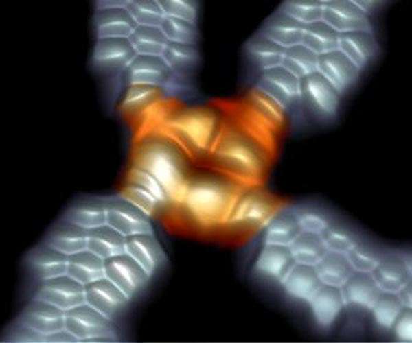 Contacting the molecular world through graphene nanoribbons